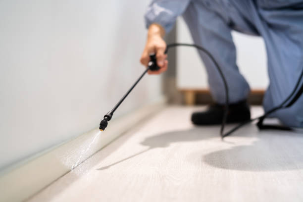 Professional exterminator conducting IPM assessment in Cambrian Park